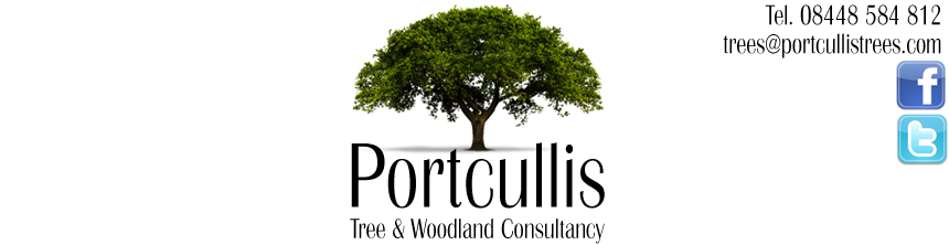 Portcullis Tree and Woodland Consultancy